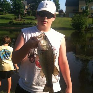 Meet your Posher, George